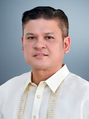 Paolo Duterte profile photo