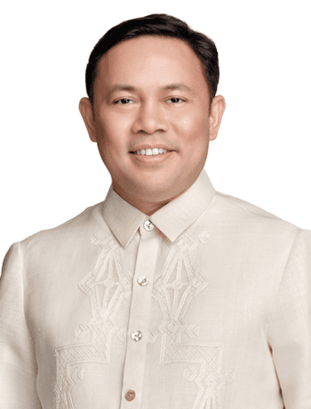 Mark Villar profile photo
