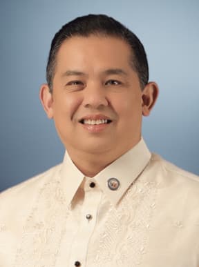 Martin Romualdez profile photo
